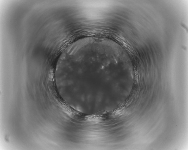 X0000093400331200711020940