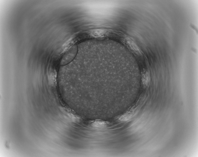 X0000093400332200711020940