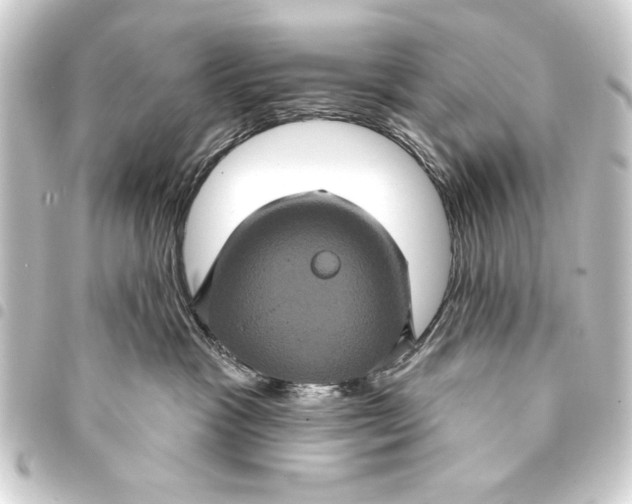 X0000093400333200711020940