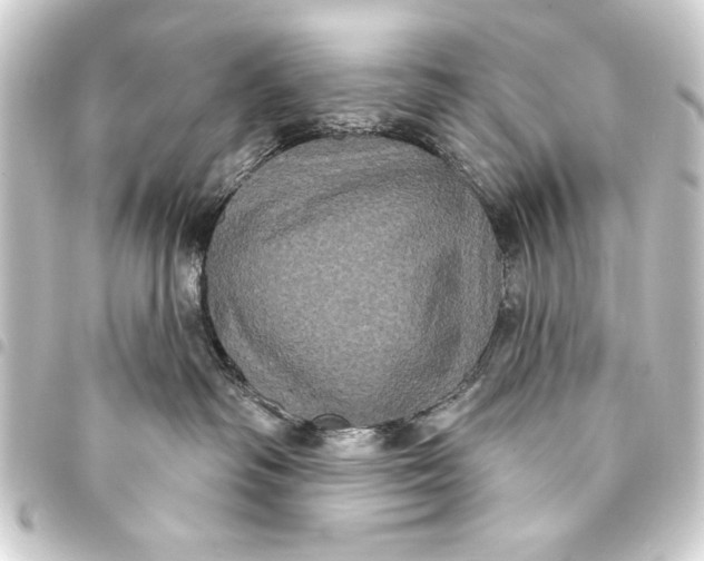 X0000093400334200711020940