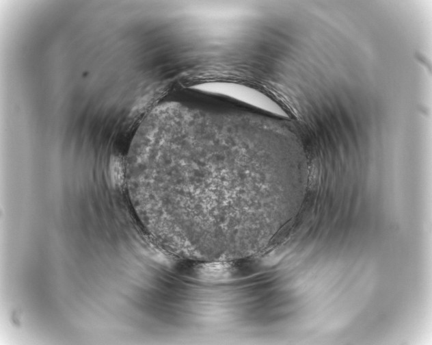 X0000093400335200711020940