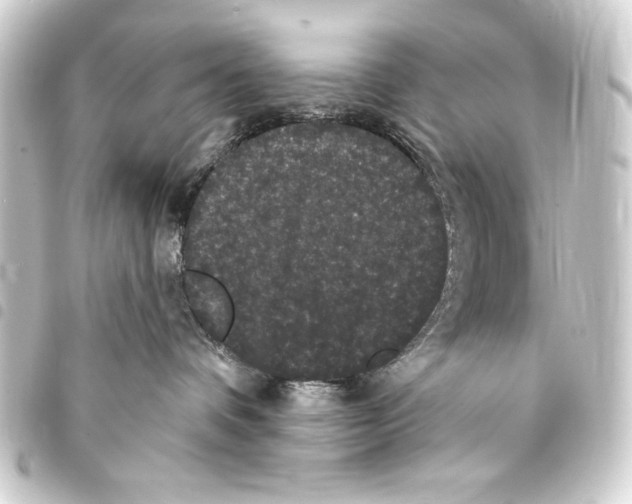 X0000093400336200711020940