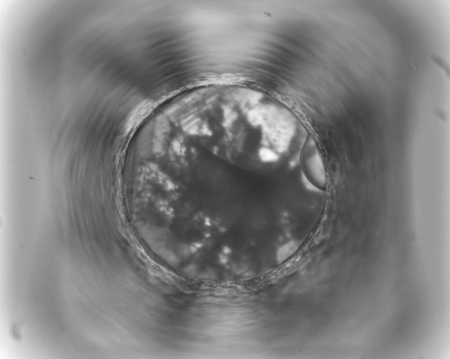 X0000093400337200711020939