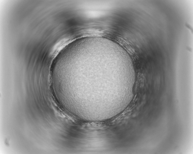 X0000093400338200711020939