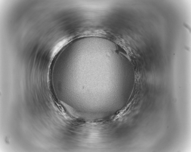 X0000093400340200711020939