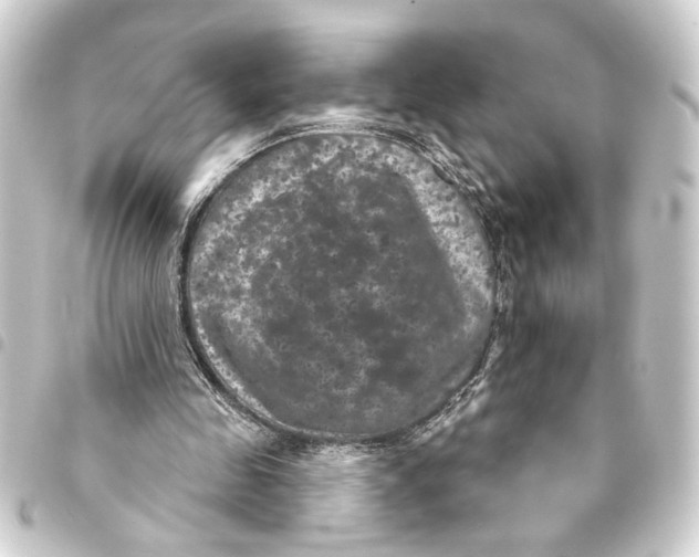 X0000093400341200711020939