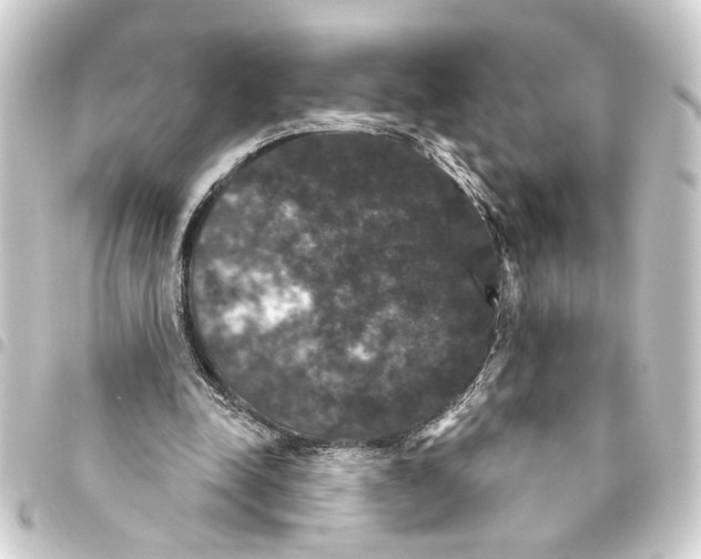 X0000093400342200711020939