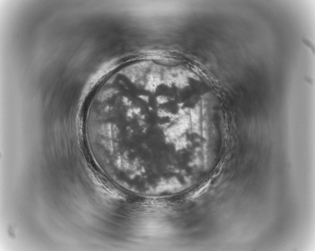 X0000093400343200711020939