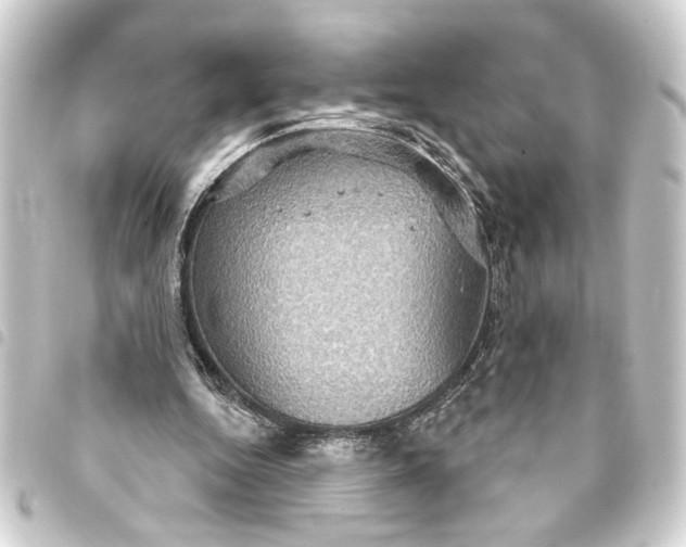 X0000093400344200711020939