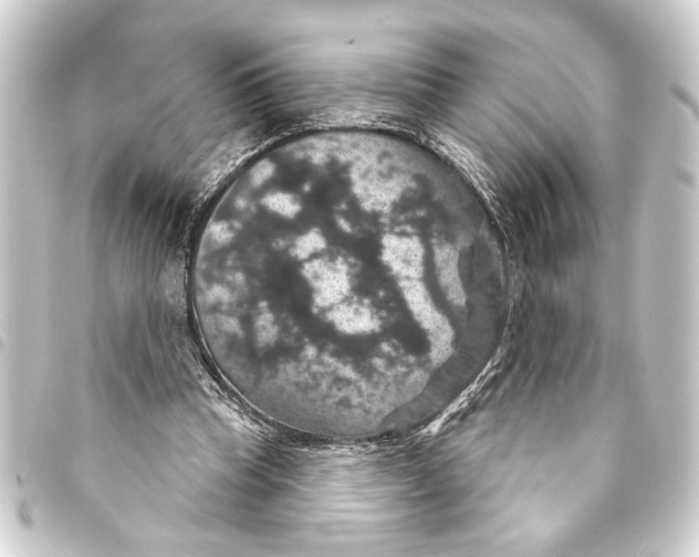 X0000093400345200711020939