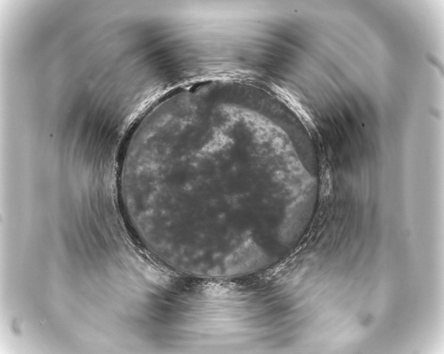 X0000093400346200711020939