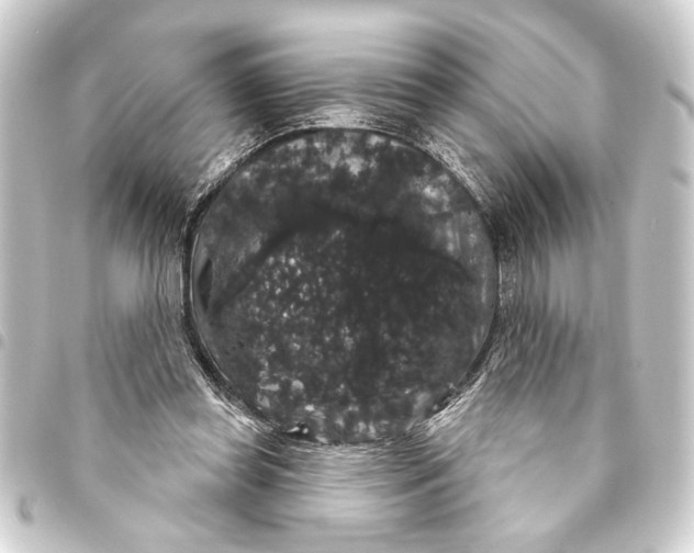 X0000093400349200711020939