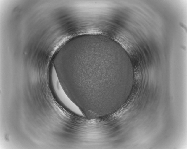 X0000093400350200711020939