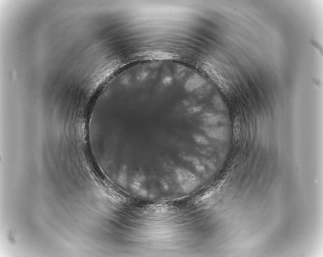 X0000093400351200711020939