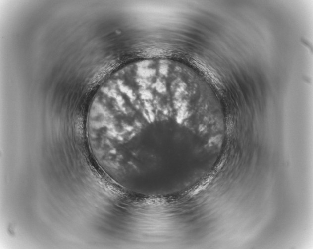 X0000093400353200711020939