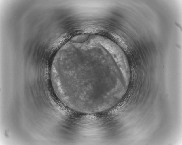 X0000093400354200711020939