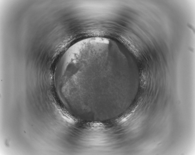 X0000093400355200711020939