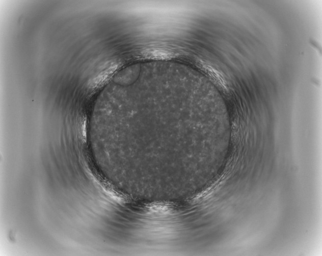 X0000093400358200711020939