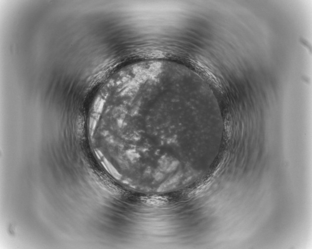 X0000093400359200711020939