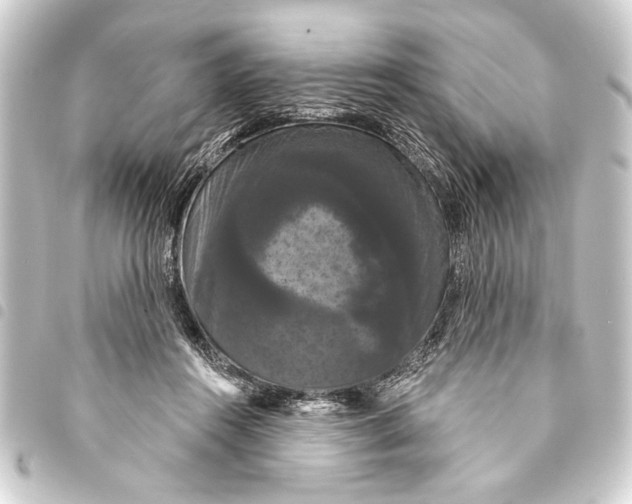 X0000093400360200711020939