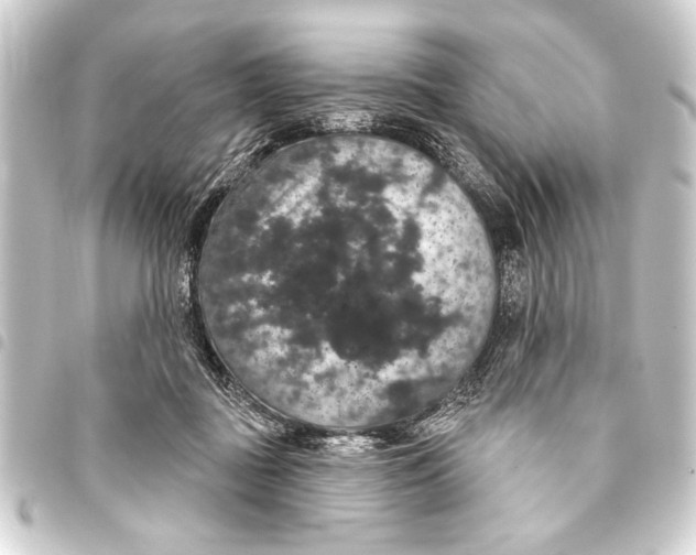 X0000093400363200711020939