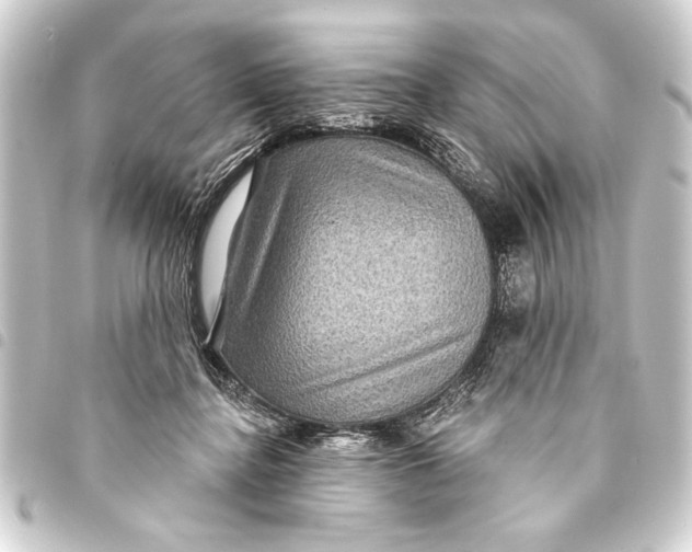 X0000093400364200711020939