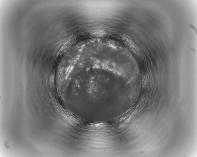 X0000093400365200711020939