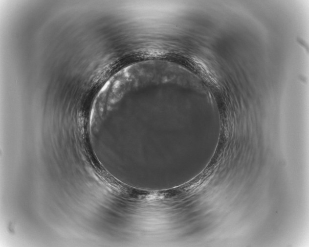 X0000093400366200711020939