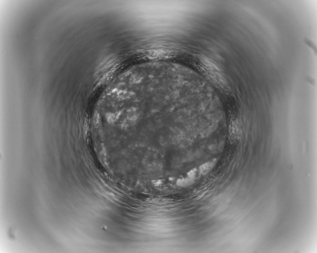 X0000093400367200711020939