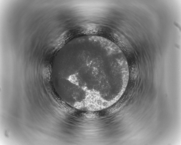 X0000093400370200711020939