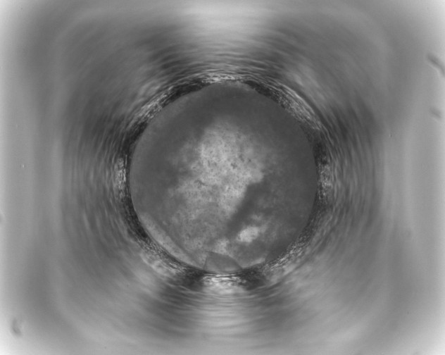 X0000093400372200711020939