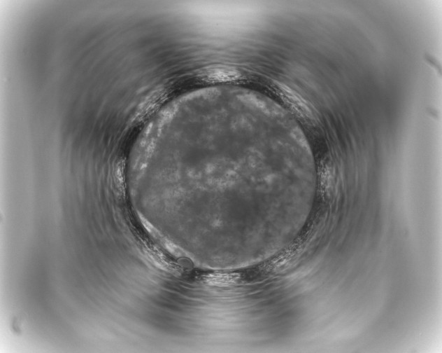 X0000093400373200711020940