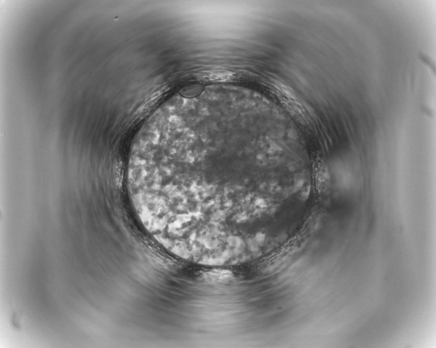 X0000093400374200711020940