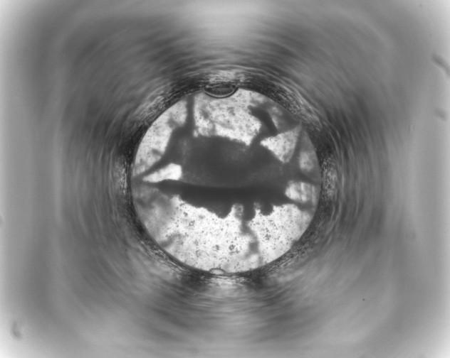 X0000093400375200711020940