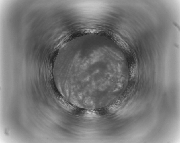 X0000093400376200711020940