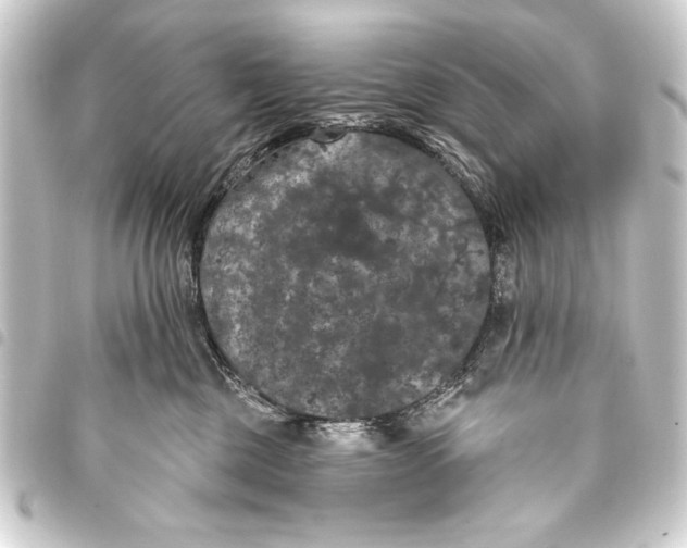 X0000093400377200711020940