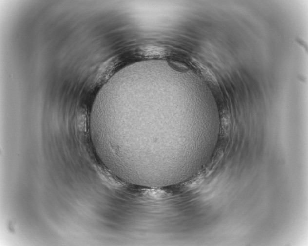 X0000093400379200711020940