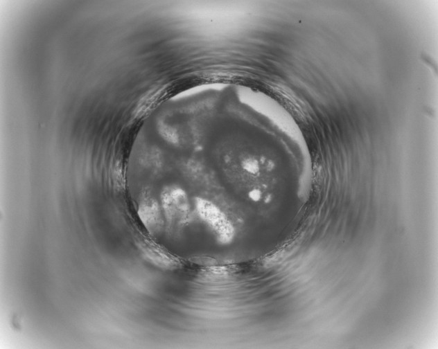 X0000093400381200711020940