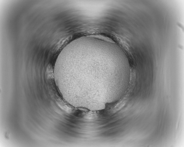 X0000093400384200711020940