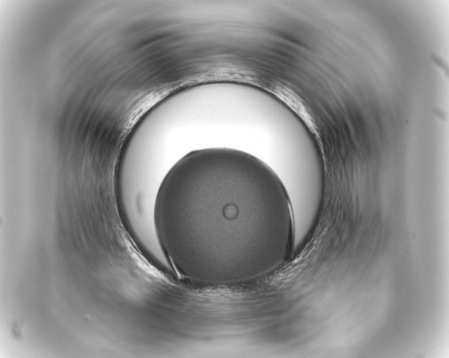 X0000093400389200711020939