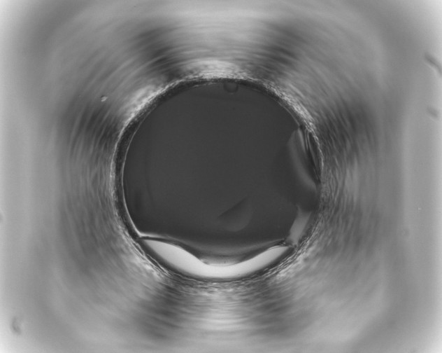 X0000093400391200711020939