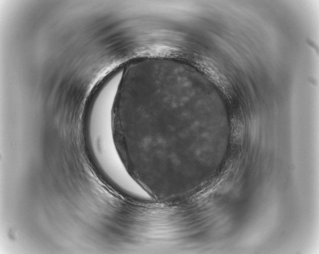 X0000093400392200711020939