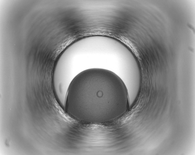 X0000093400393200711020939