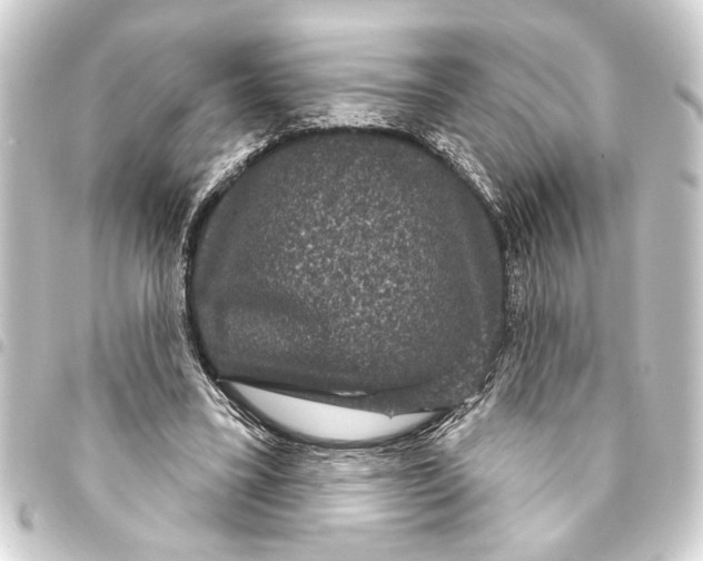 X0000093400395200711020939