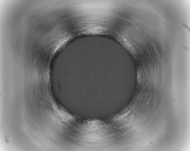 X0000093400396200711020939