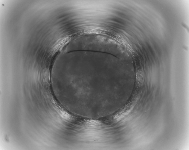 X0000093400397200711020939