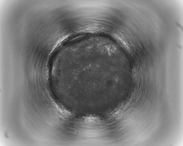 X0000093400400200711020939