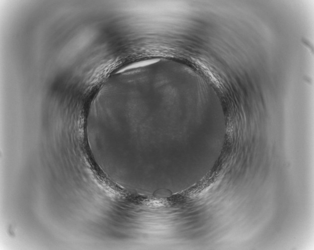 X0000093400402200711020939