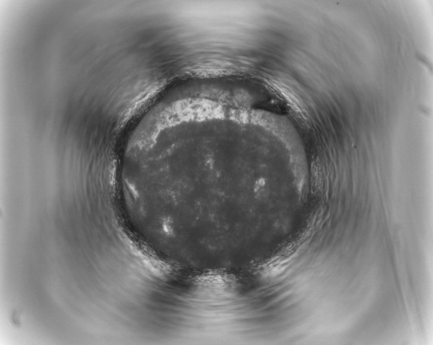 X0000093400404200711020939