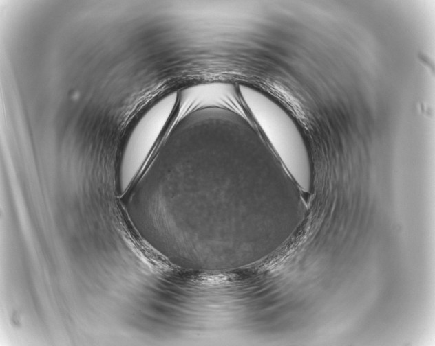 X0000093400405200711020939